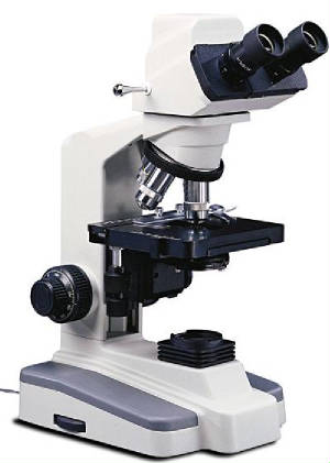 microscopio5.jpg